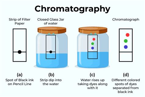 chromatography for dummies